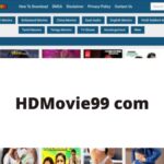 HDMovie99 2022 Download 300mb 480p 720p 1080p HD Movies Download Free